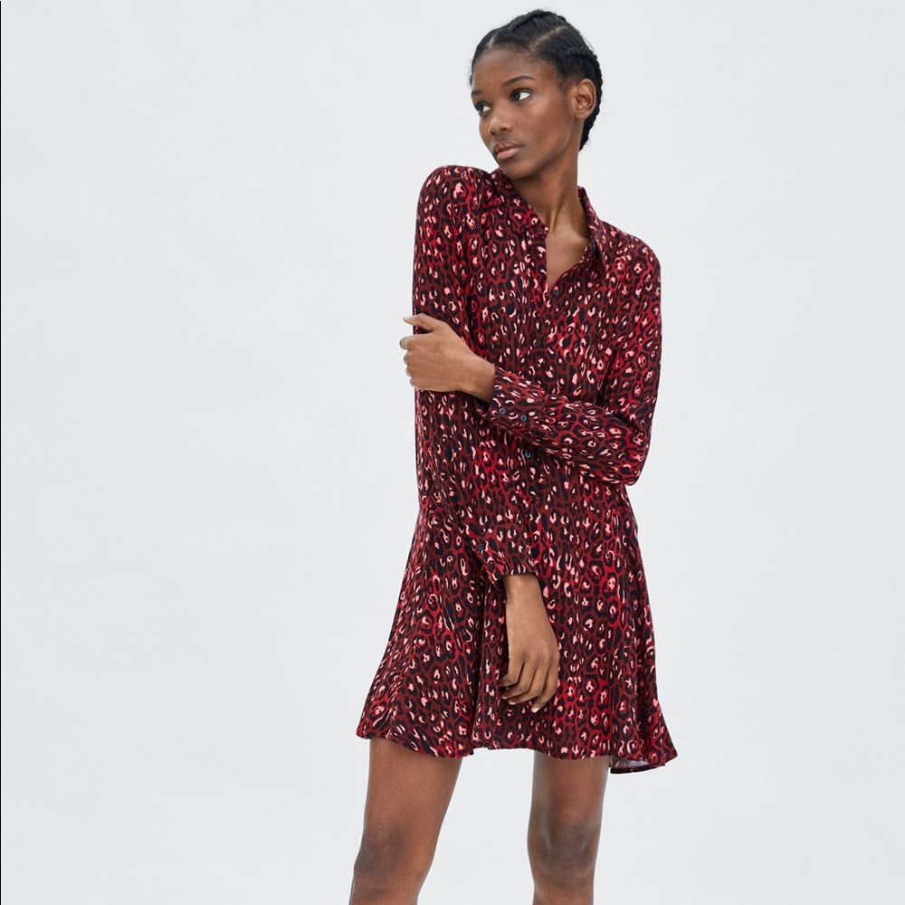 Zara Animal Print Dress